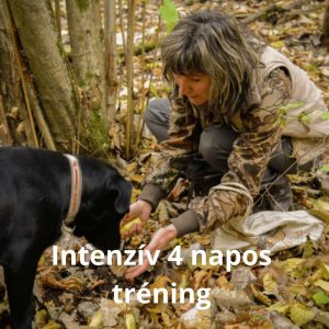 Intenzív 4 napos tréning- Alapoktól a felsőfokig- Regisztráció