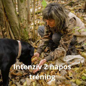 2 napos intenzív trifla kereső tréning - Regisztráció
